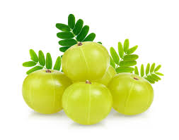 Mission of quality amla sourcing